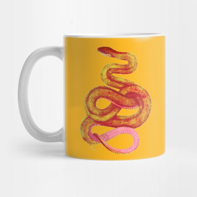 serpent,cobra,reptile,viper,venom,lizard,rattlesnake,king cobra,dragon,hydra,poison,venomous,plumber's snake,pythonidae,pythons,auger,python,squamata,serpentine,worm,big,ophidian,rattlesnakes,medusa,snakebite by vabontchi